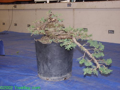 2002Betsuin 099.jpg